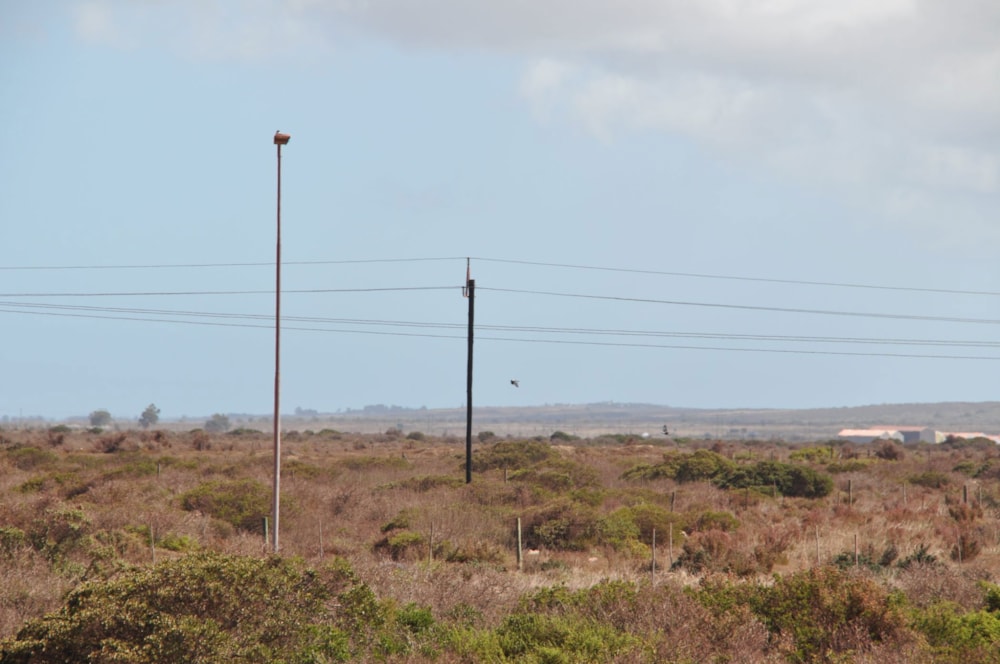 Commercial business for sale in Saldanha Bay - LA1670777 Commercial business for sale in Saldanha Bay - LA1670777