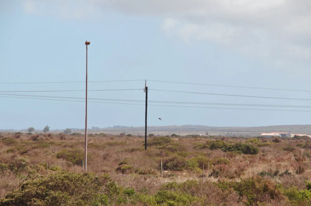 Commercial business for sale in Saldanha Bay - LA1670777 Commercial business for sale in Saldanha Bay - LA1670777