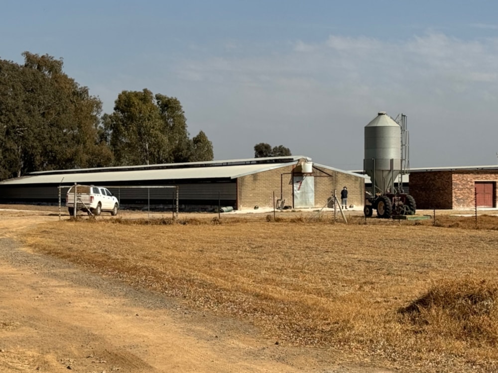 Poultry farm for sale in Bapsfontein - PRN1667819