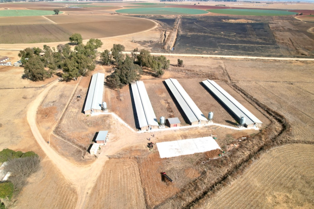 Poultry farm for sale in Bapsfontein - PRN1667819