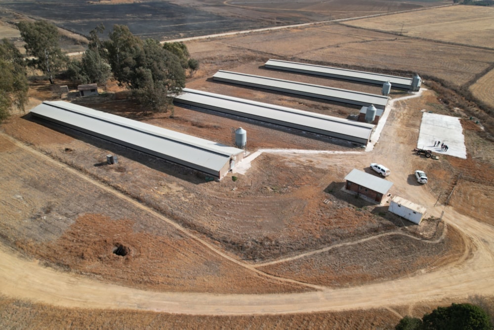 Poultry farm for sale in Bapsfontein - PRN1667819
