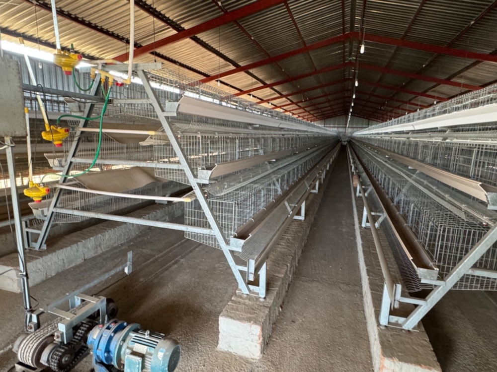 Poultry farm for sale in Bapsfontein - PRN1667982 Poultry farm for sale in Bapsfontein - PRN1667982