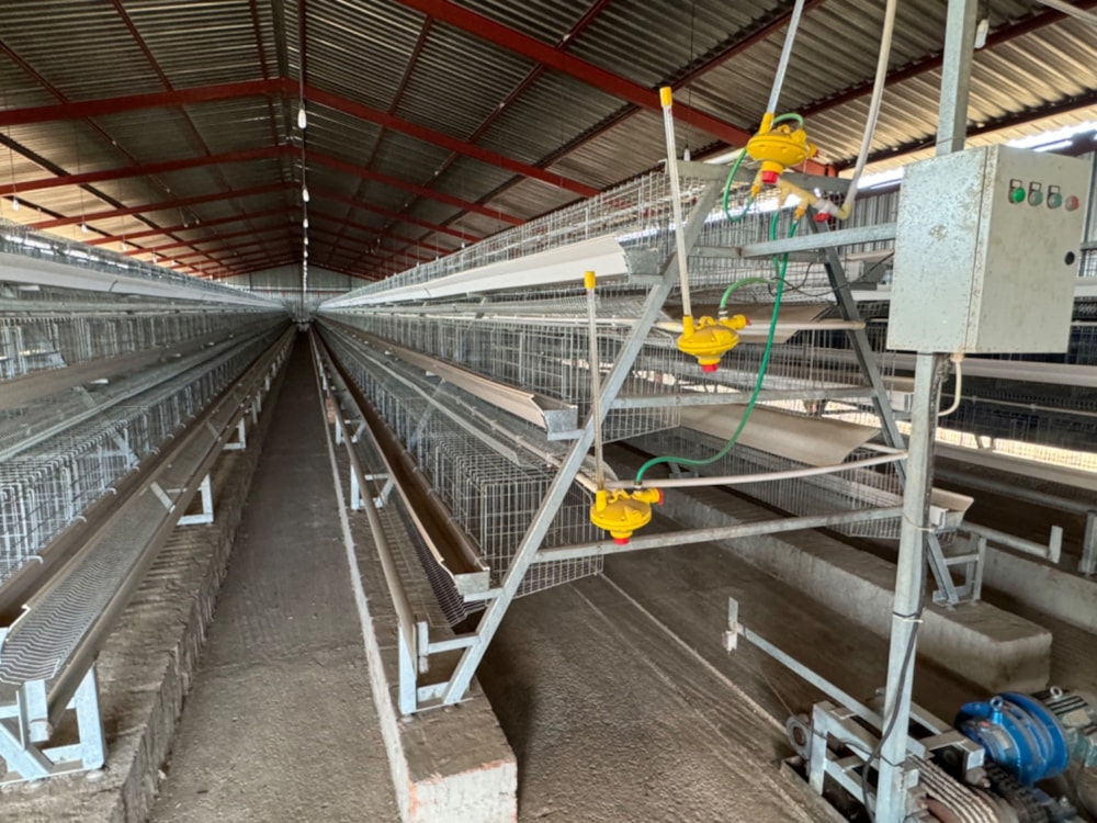 Poultry farm for sale in Bapsfontein - PRN1667982 Poultry farm for sale in Bapsfontein - PRN1667982