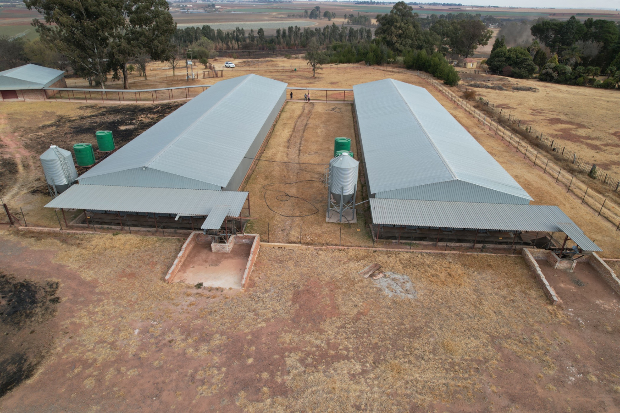 Poultry farm for sale in Bapsfontein - PRN1667982