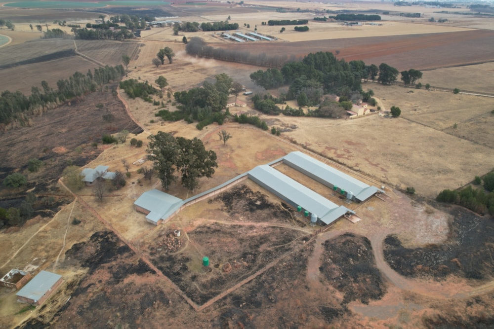 Poultry farm for sale in Bapsfontein - PRN1667982 Poultry farm for sale in Bapsfontein - PRN1667982