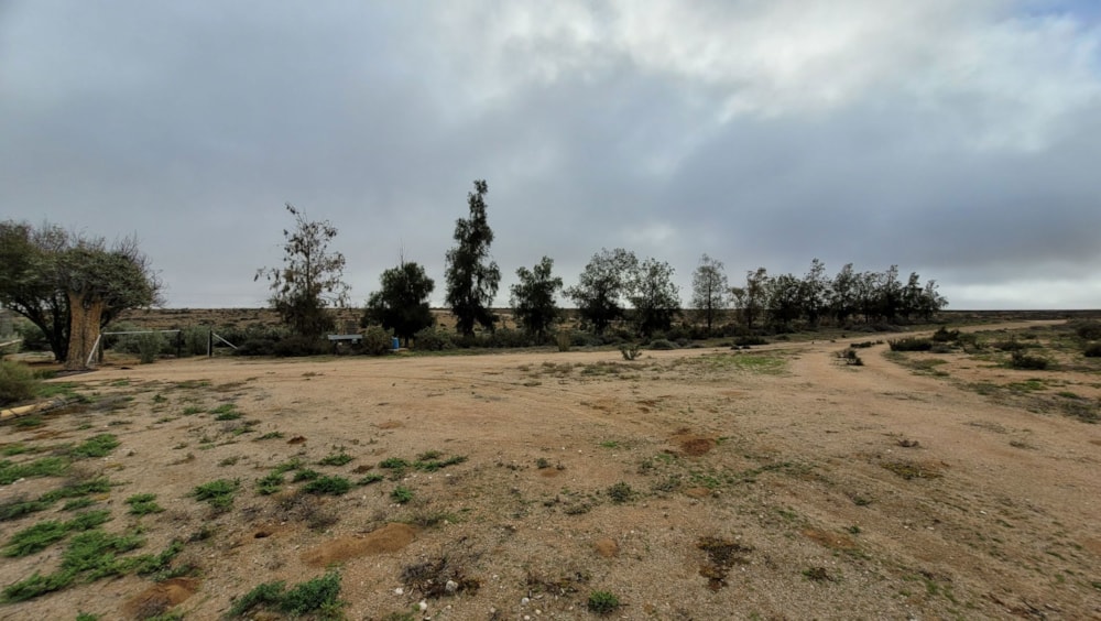 Livestock farm for sale in Springbok - 1NA1668058 Livestock farm for sale in Springbok - 1NA1668058