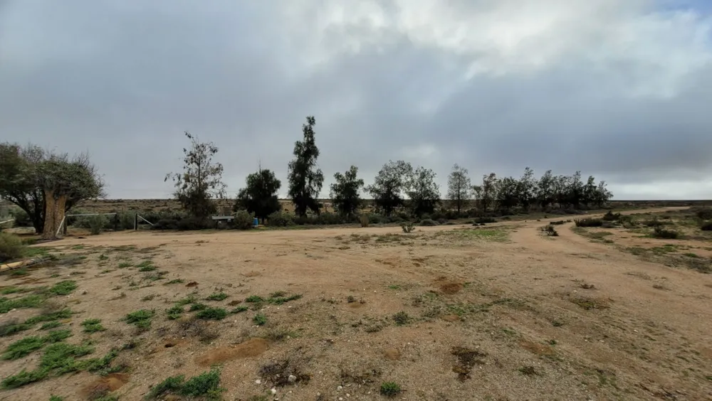 Livestock farm for sale in Springbok - 1NA1668058 Livestock farm for sale in Springbok - 1NA1668058
