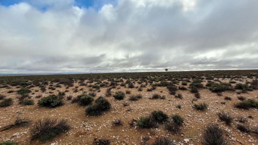 Livestock farm for sale in Springbok - 1NA1668058 Livestock farm for sale in Springbok - 1NA1668058