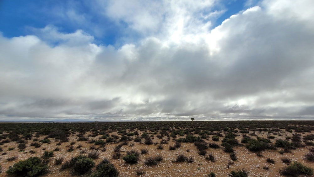 Livestock farm for sale in Springbok - 1NA1668058 Livestock farm for sale in Springbok - 1NA1668058