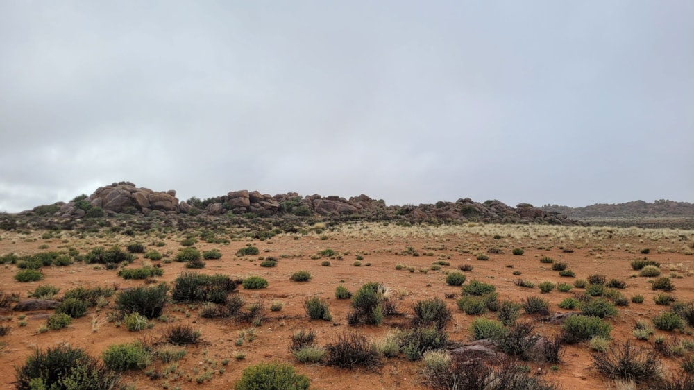 Livestock farm for sale in Springbok - 1NA1668058