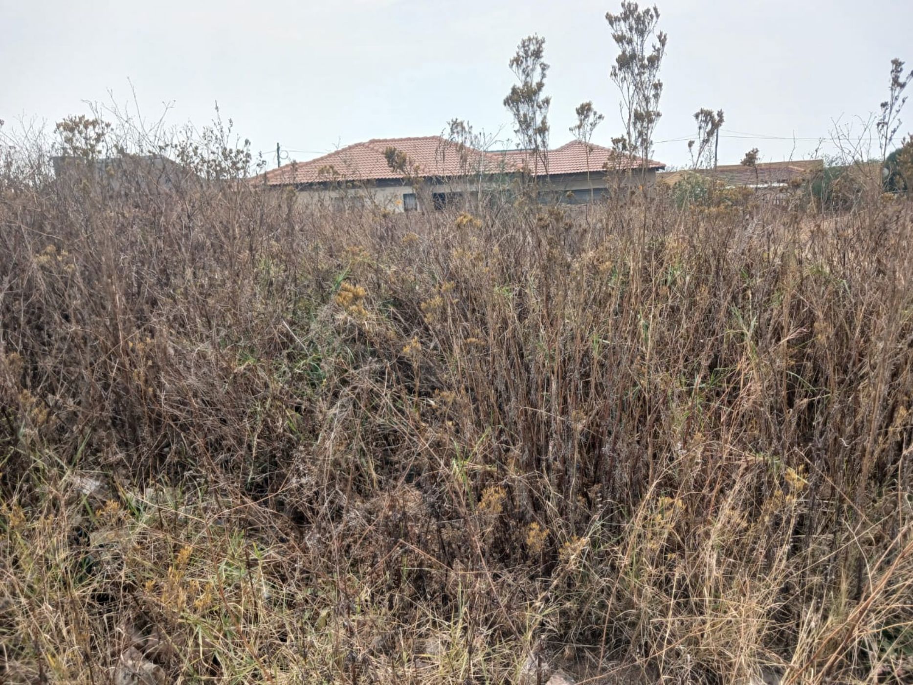 Vacant land for sale in Reyno Ridge - 1WD1720936