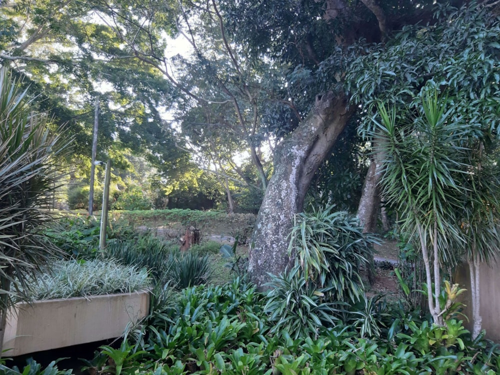 Apartment for sale in Southport - 1PSH1668532 Apartment for sale in Southport - 1PSH1668532