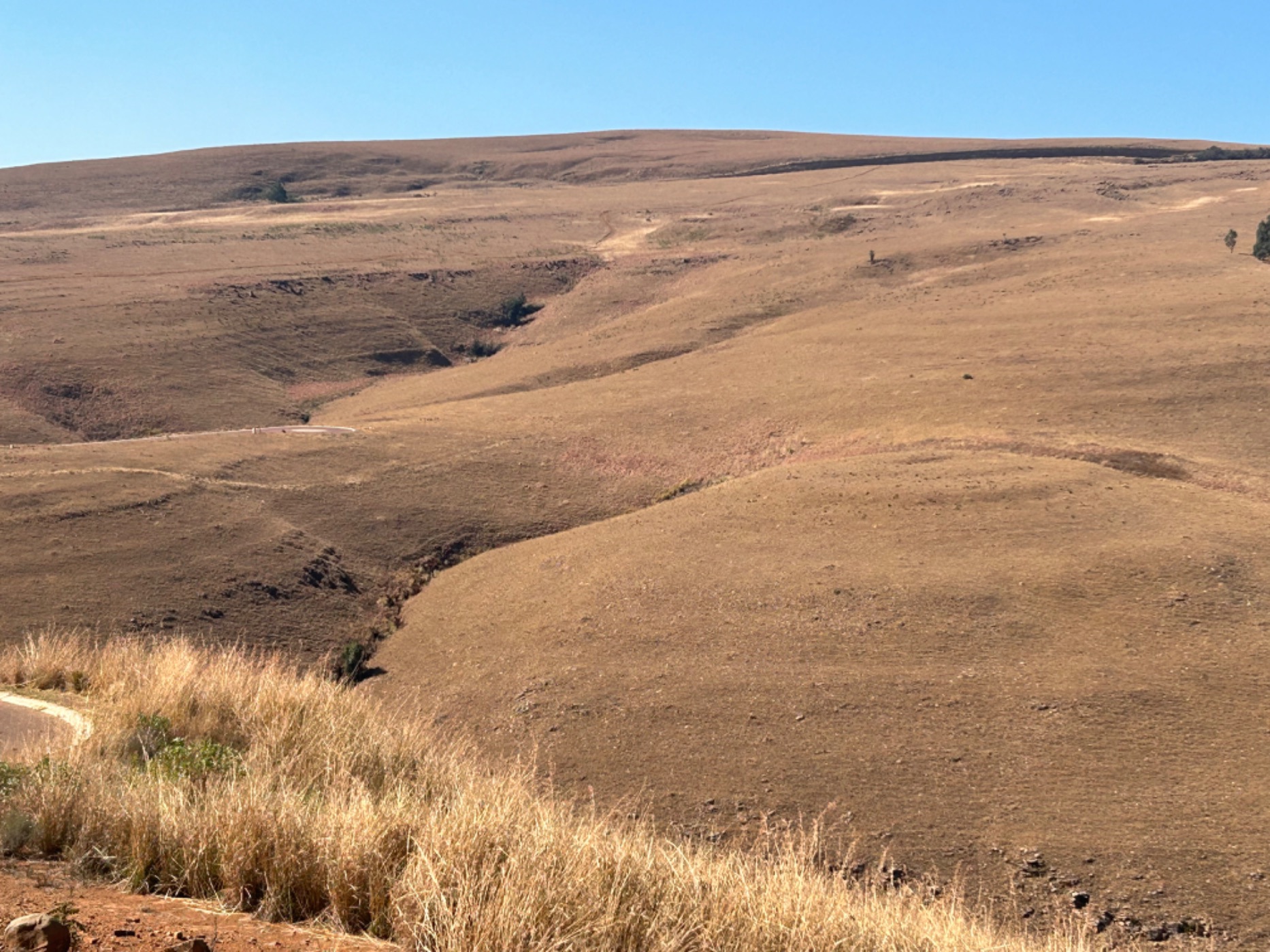 Vacant land sold in Highland Gate - 1DS1668688