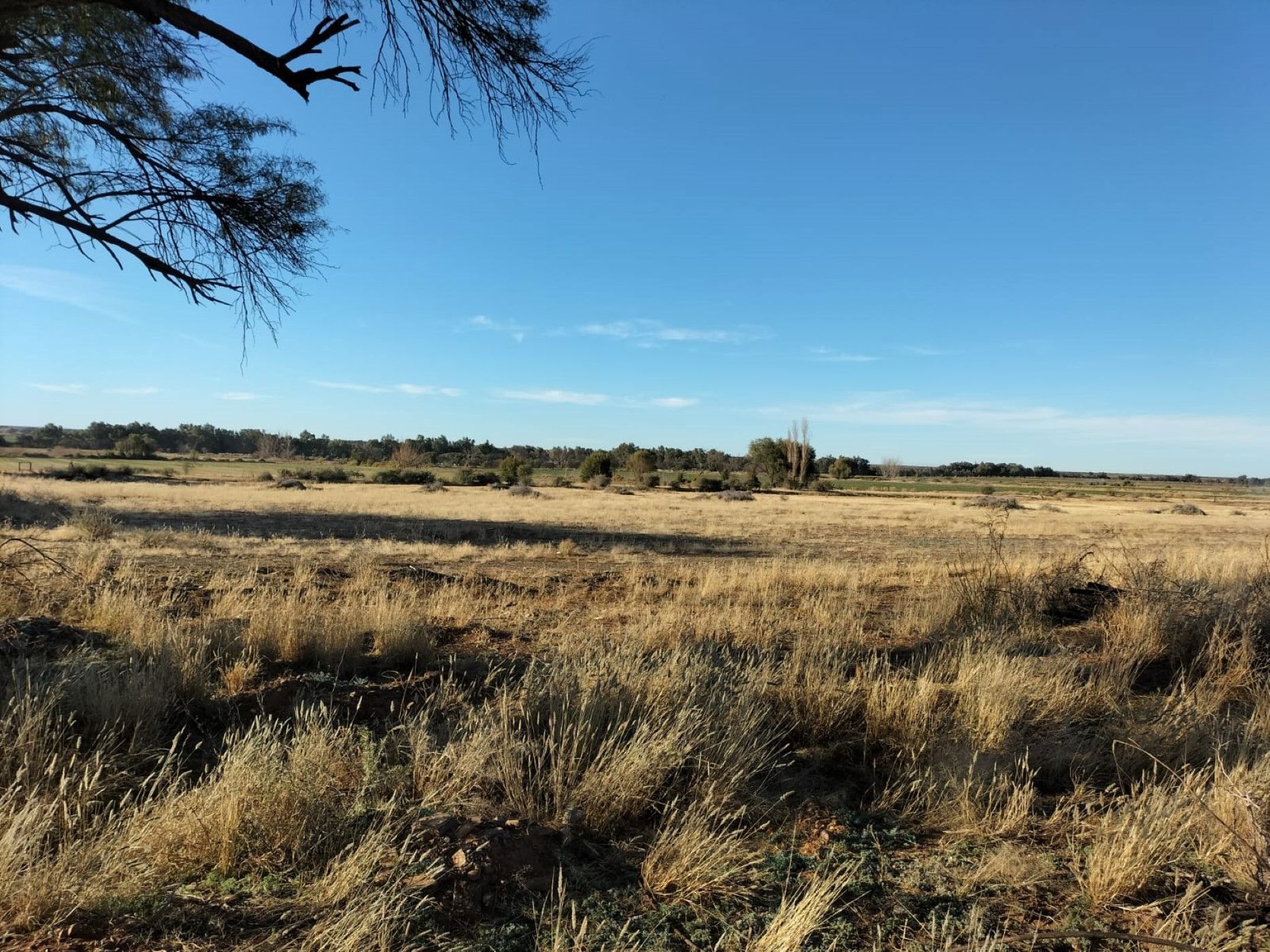 Vacant land sold in Douglas - 1KJ1669209