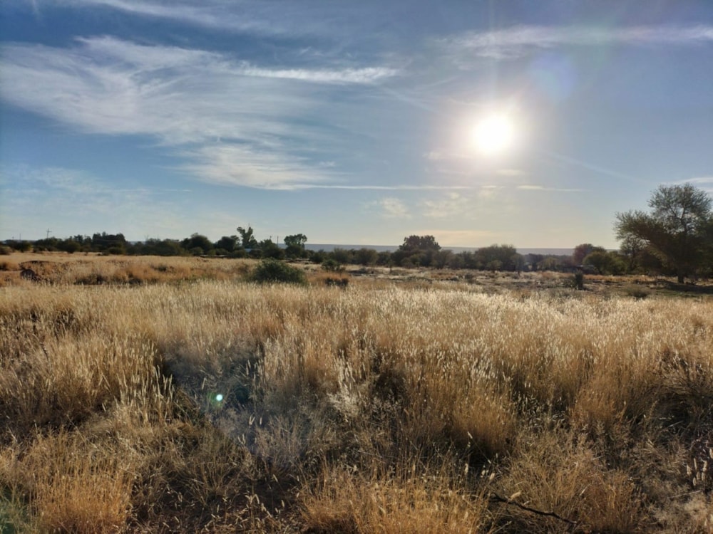 Vacant land sold in Douglas - 1KJ1669209 Vacant land sold in Douglas - 1KJ1669209