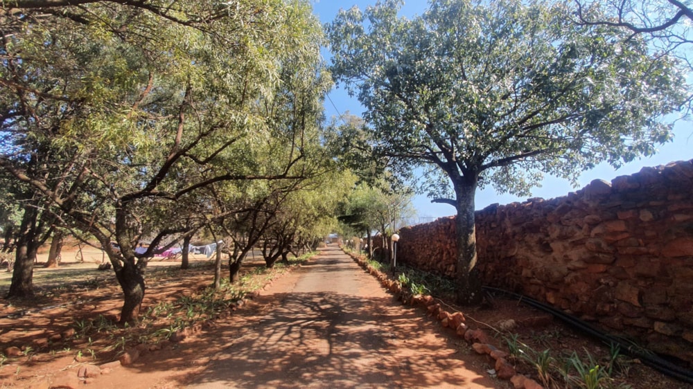 Mixed use farm for sale in Walkerville - 1VT1670063