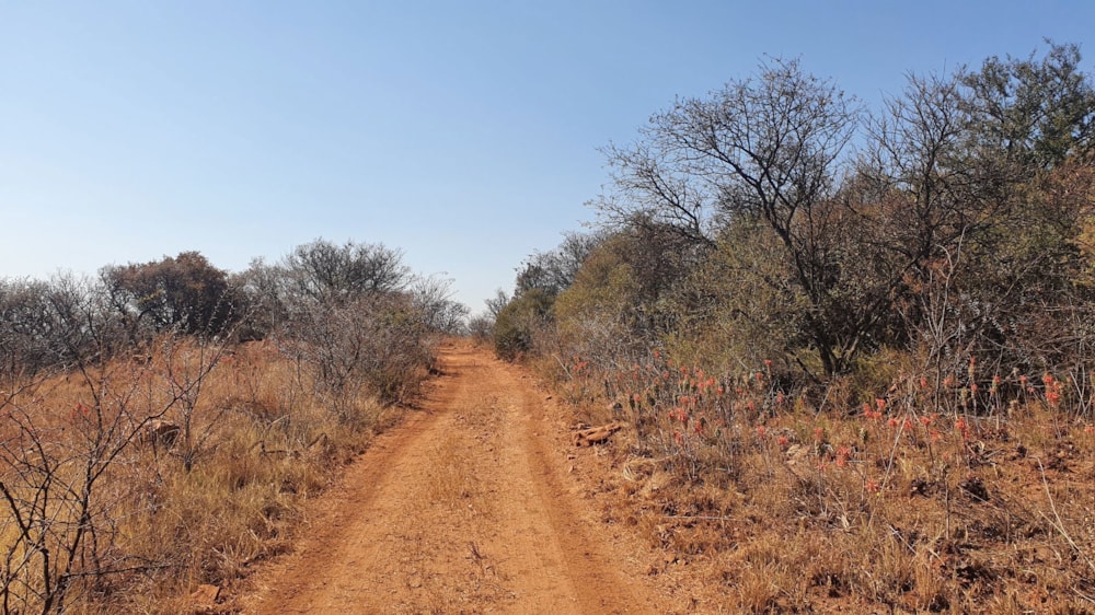 Mixed use farm for sale in Walkerville - 1VT1670063