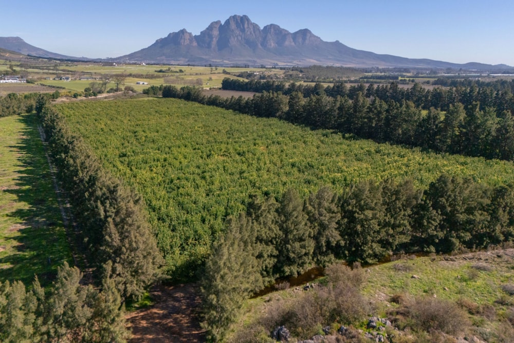 Lifestyle property for sale in Franschhoek - FWI1669025