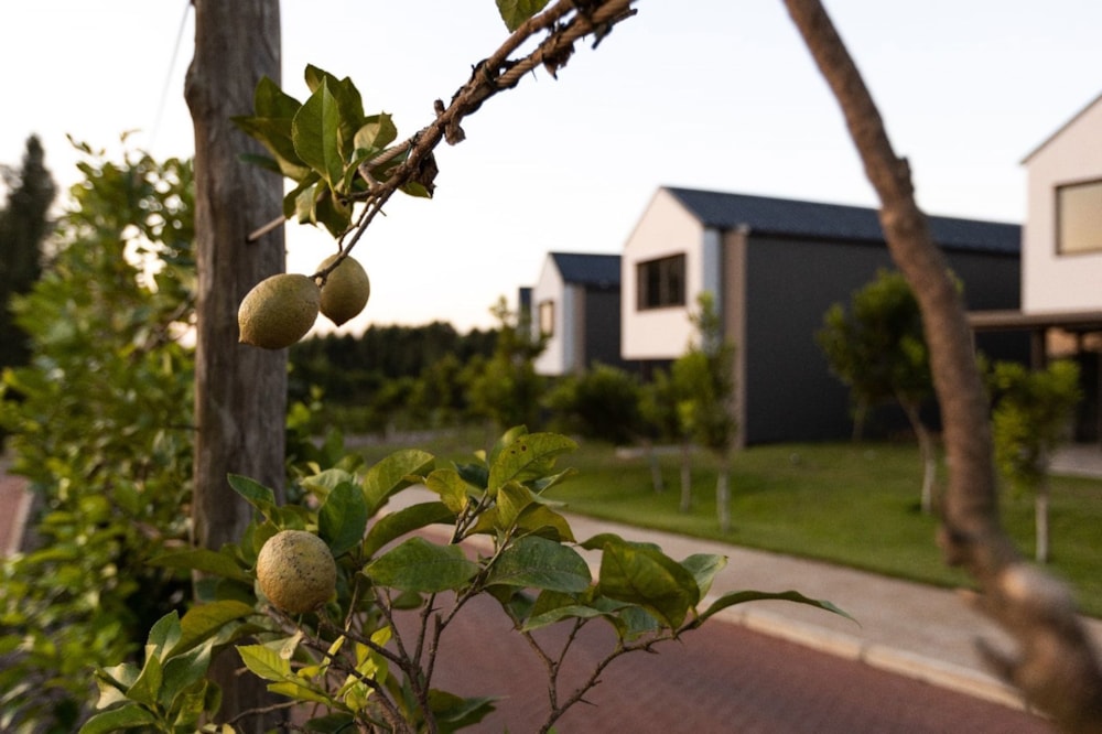 Townhouse for sale in Elaleni Coastal Forest Estate - 1BD1669106