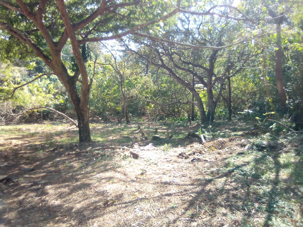 Vacant land for sale in St Michaels on Sea - 1PSH1727466 Vacant land for sale in St Michaels on Sea - 1PSH1727466