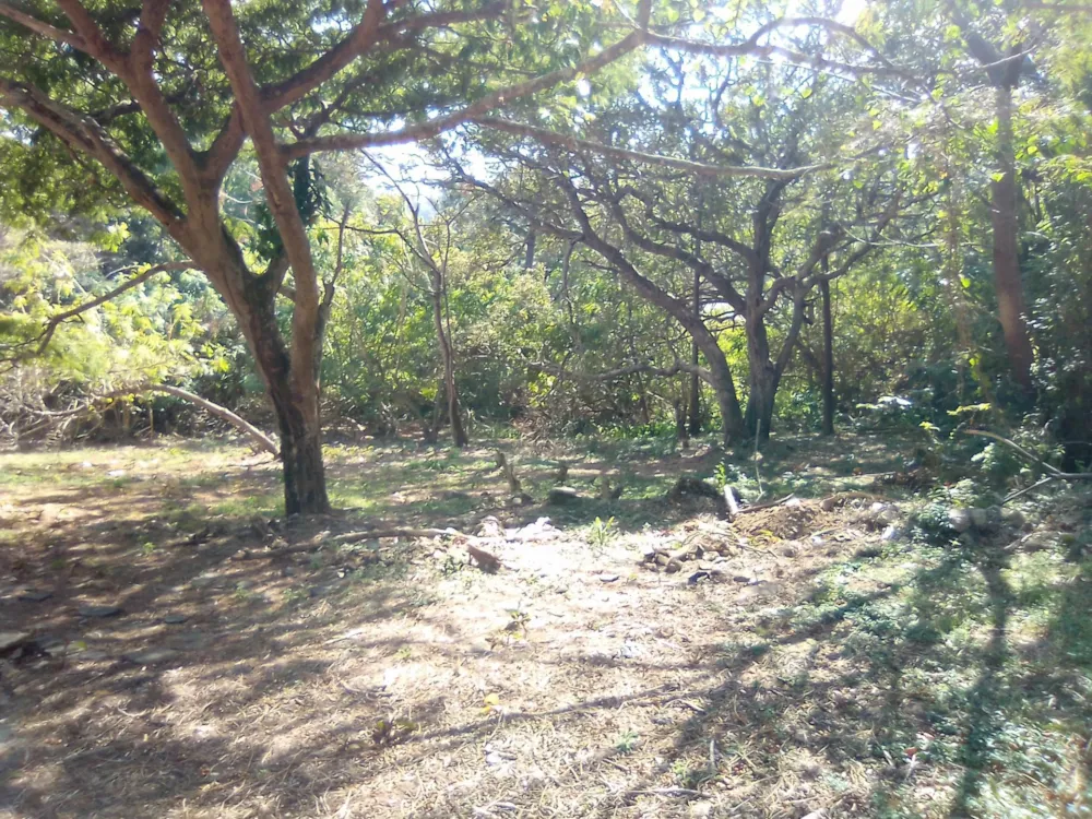 Vacant land for sale in St Michaels on Sea - 1PSH1727466 Vacant land for sale in St Michaels on Sea - 1PSH1727466