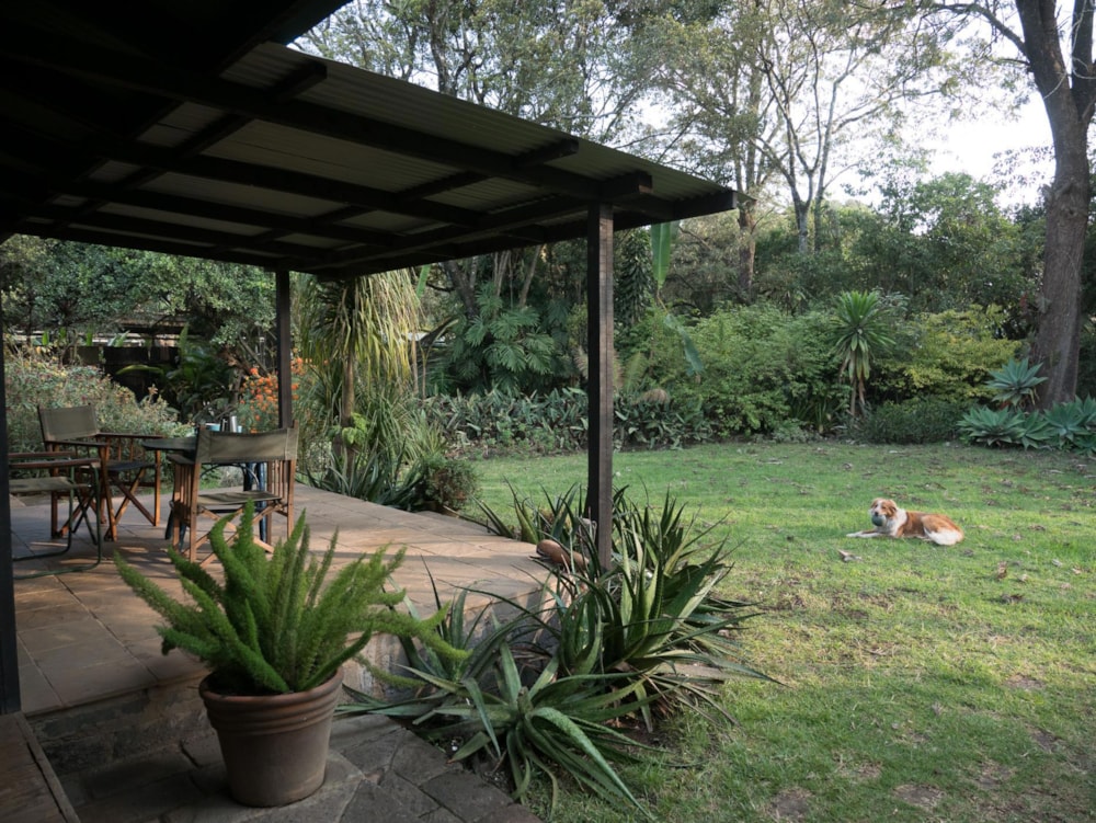 Garden cottage let in Karen, Kenya - 3KE1670044