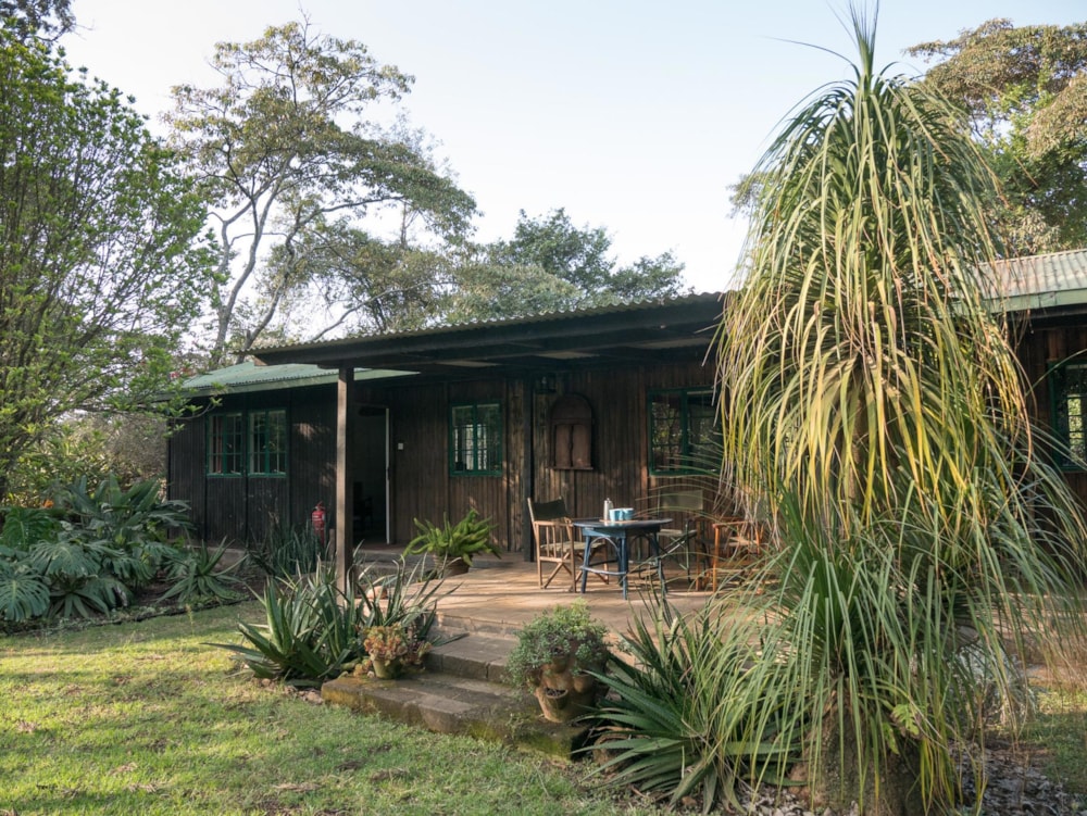 Garden cottage let in Karen, Kenya - 3KE1670044