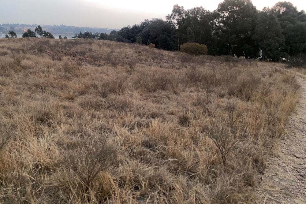 Vacant land for sale in Naaupoort - 1WD1669642