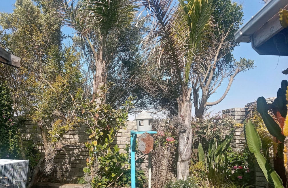 House let in Port Nolloth - 1NA1674257 House let in Port Nolloth - 1NA1674257