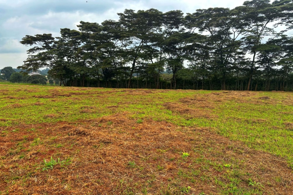 Commercial vacant land to rent in Rosslyn, Kenya - 3KE1670029 Commercial vacant land to rent in Rosslyn, Kenya - 3KE1670029