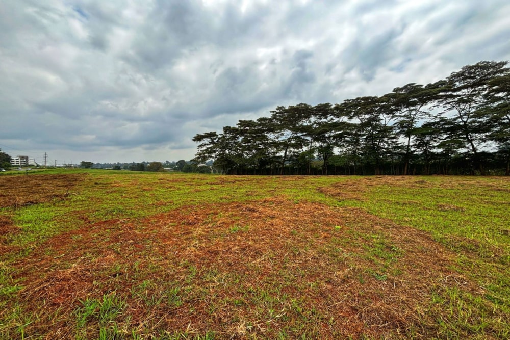 Commercial vacant land to rent in Rosslyn, Kenya - 3KE1670029 Commercial vacant land to rent in Rosslyn, Kenya - 3KE1670029