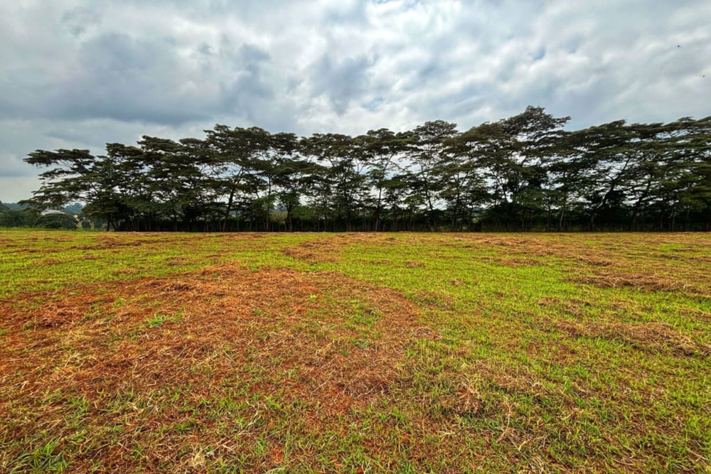Commercial vacant land to rent in Rosslyn, Kenya - 3KE1670029 Commercial vacant land to rent in Rosslyn, Kenya - 3KE1670029