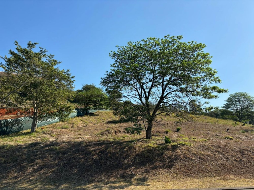 Commercial vacant land for sale in Victoria Country Club Estate - 1PM1724888