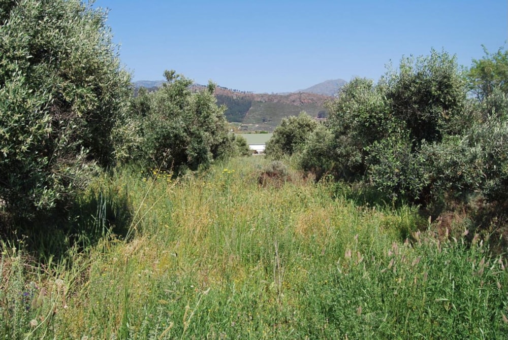 Vacant land sold in Franschhoek - FWI1670279