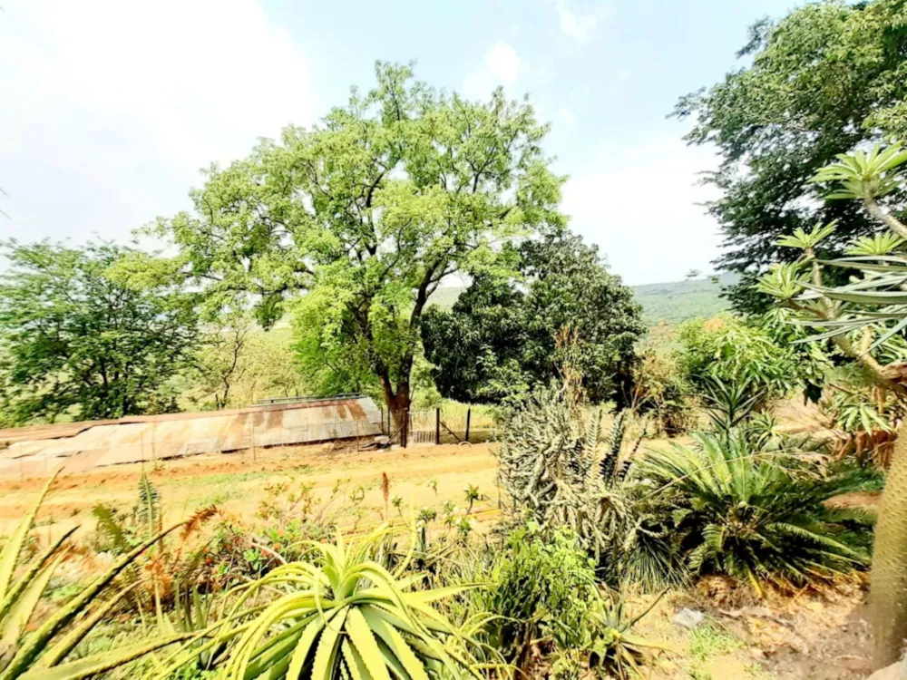 Livestock farm for sale in Tzaneen, Limpopo Province - 1TA1670494