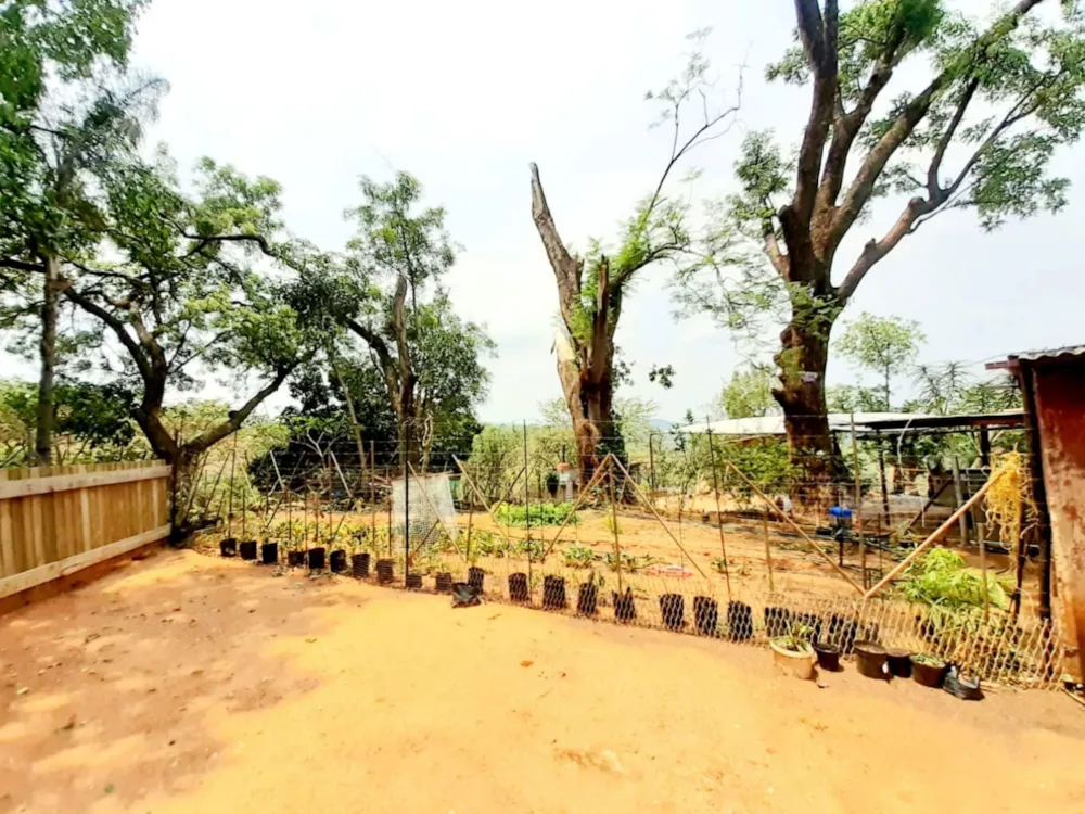 Livestock farm for sale in Tzaneen, Limpopo Province - 1TA1670494