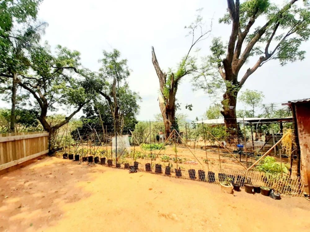 Livestock farm for sale in Tzaneen, Limpopo Province - 1TA1670494 Livestock farm for sale in Tzaneen, Limpopo Province - 1TA1670494