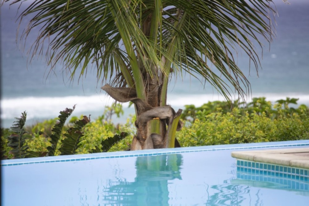 House for sale in Ponta Mamoli, Mozambique - 3MQ1670651 House for sale in Ponta Mamoli, Mozambique - 3MQ1670651