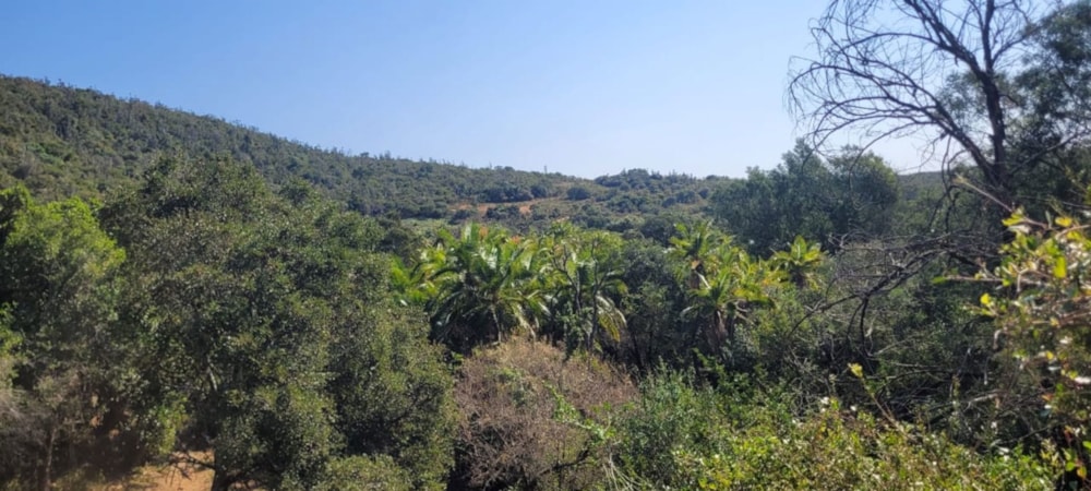 Mixed use farm for sale in Bathurst - 1PF1670692