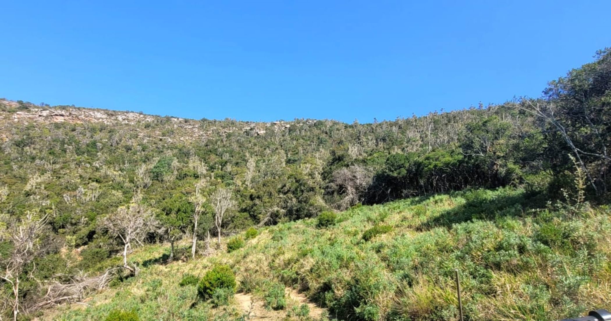 Mixed use farm for sale in Bathurst - 1PF1670692