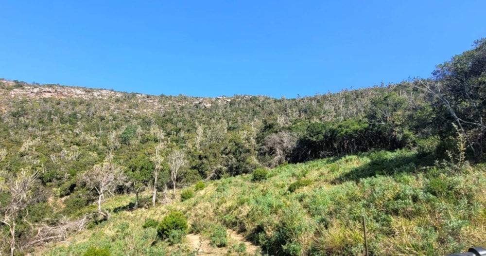 Mixed use farm for sale in Bathurst - 1PF1670692