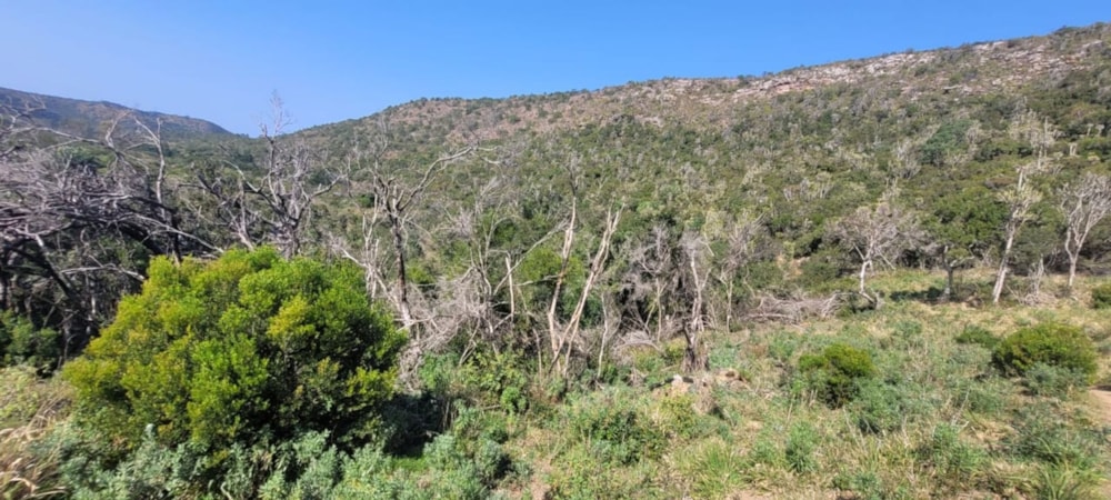 Mixed use farm for sale in Bathurst - 1PF1670692