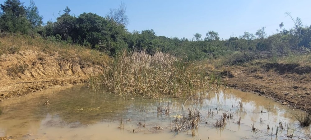 Mixed use farm for sale in Bathurst - 1PF1670692