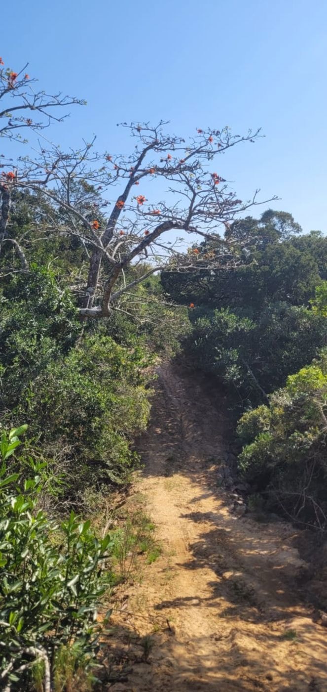 Mixed use farm for sale in Bathurst - 1PF1670692 Mixed use farm for sale in Bathurst - 1PF1670692