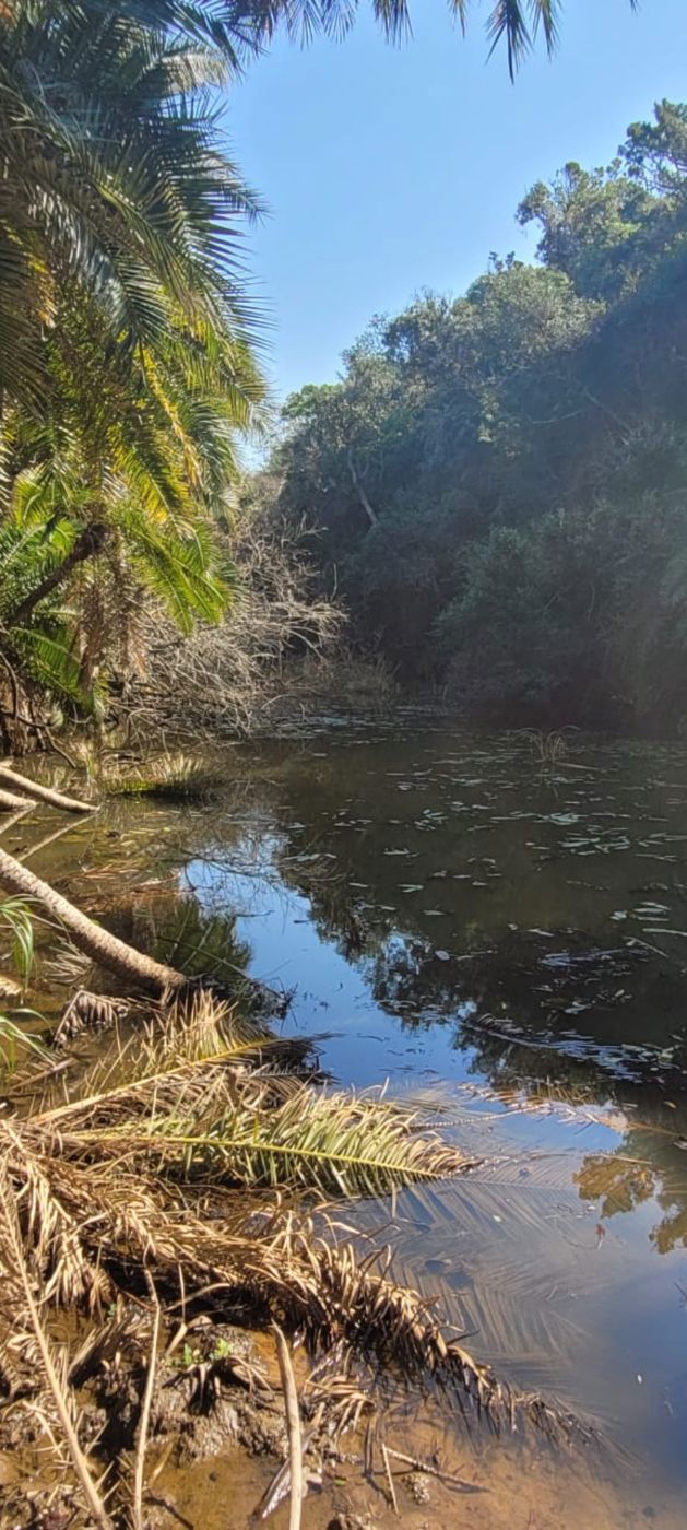 Mixed use farm for sale in Bathurst - 1PF1670692