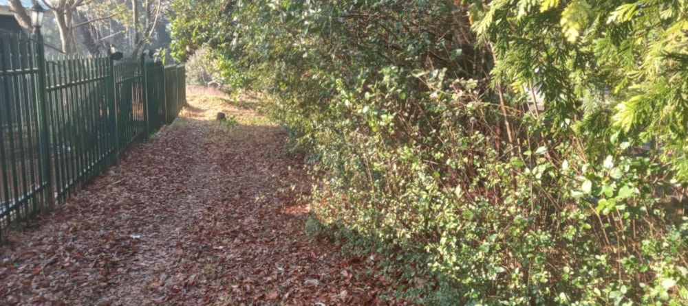 Vacant land for sale in Dullstroom - 1DS1670910 Vacant land for sale in Dullstroom - 1DS1670910