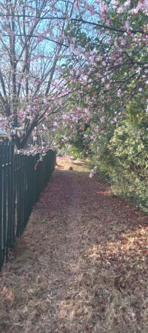 Vacant land for sale in Dullstroom - 1DS1670910 Vacant land for sale in Dullstroom - 1DS1670910