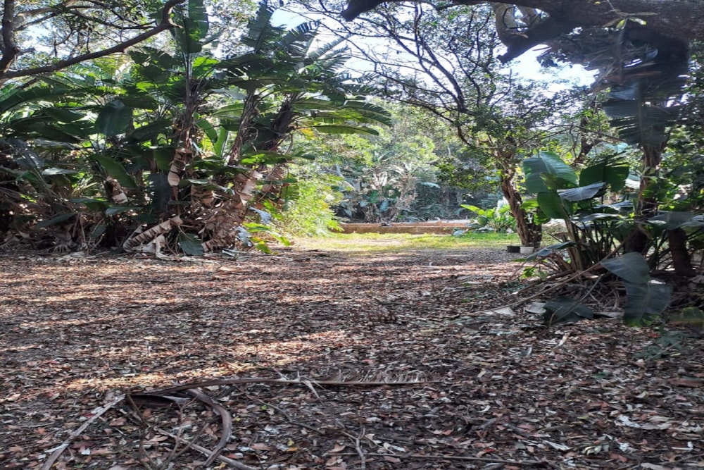 Vacant land sold in Bazley - 1SI1671024