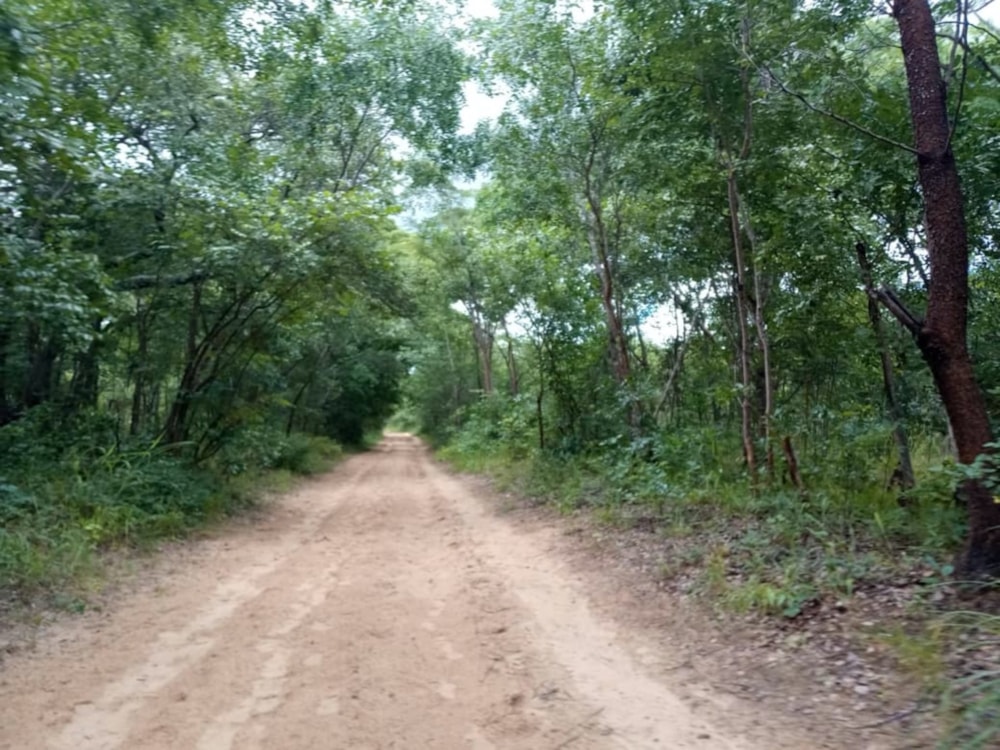 Mixed use farm for sale in North Western Province, Zambia - 3ZA1671235