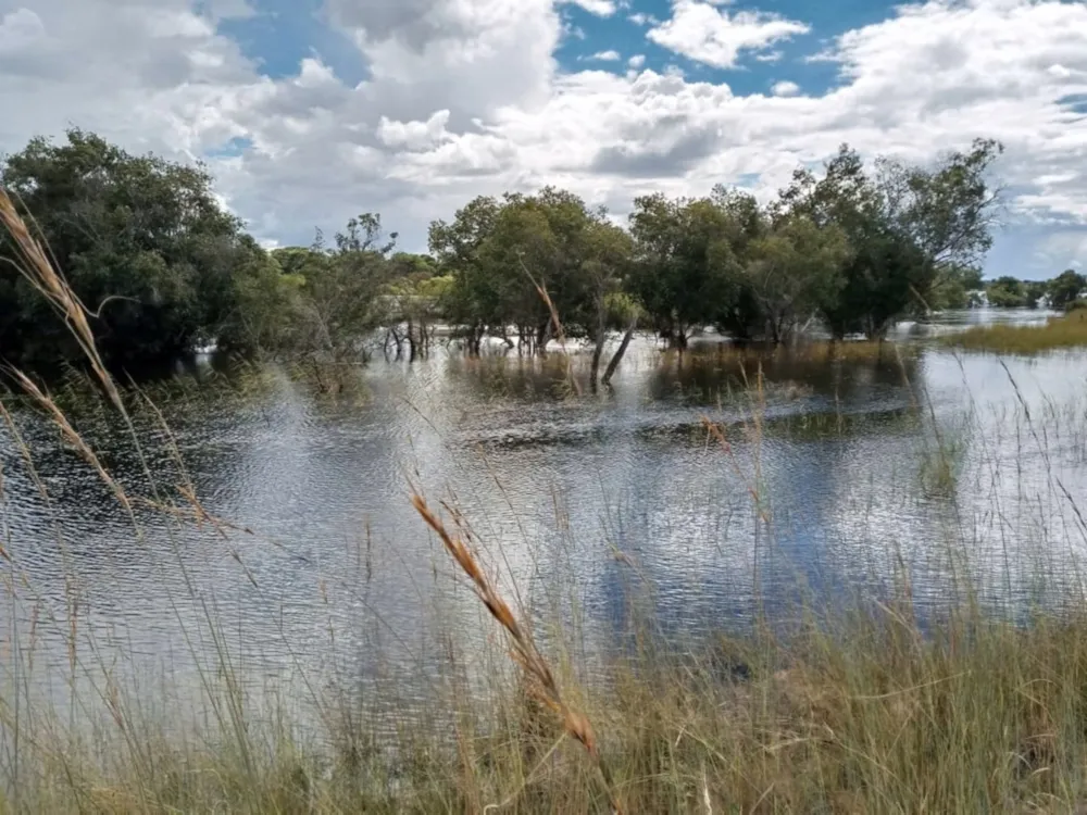 Mixed use farm for sale in North Western Province, Zambia - 3ZA1671235